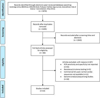 Meta-Analysis of qPCR for Bovine Respiratory Disease Based on MIQE Guidelines